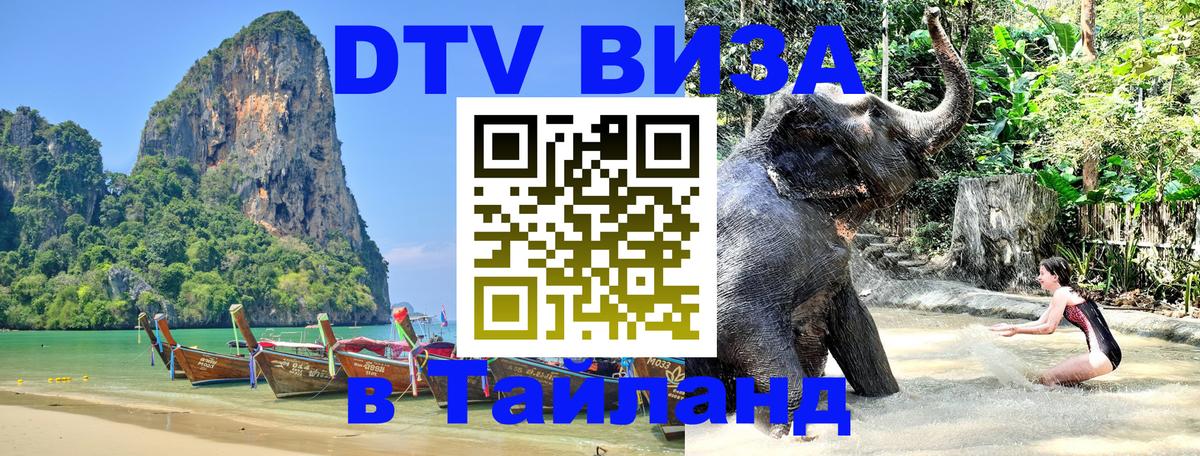 Оформление DTV визы под ключ: стоимость и тарифы, только загранпаспорт - Ноябрьск  04.10.2025 